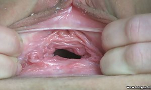 黎明星成人了猫吮吸阴茎幻想的故事